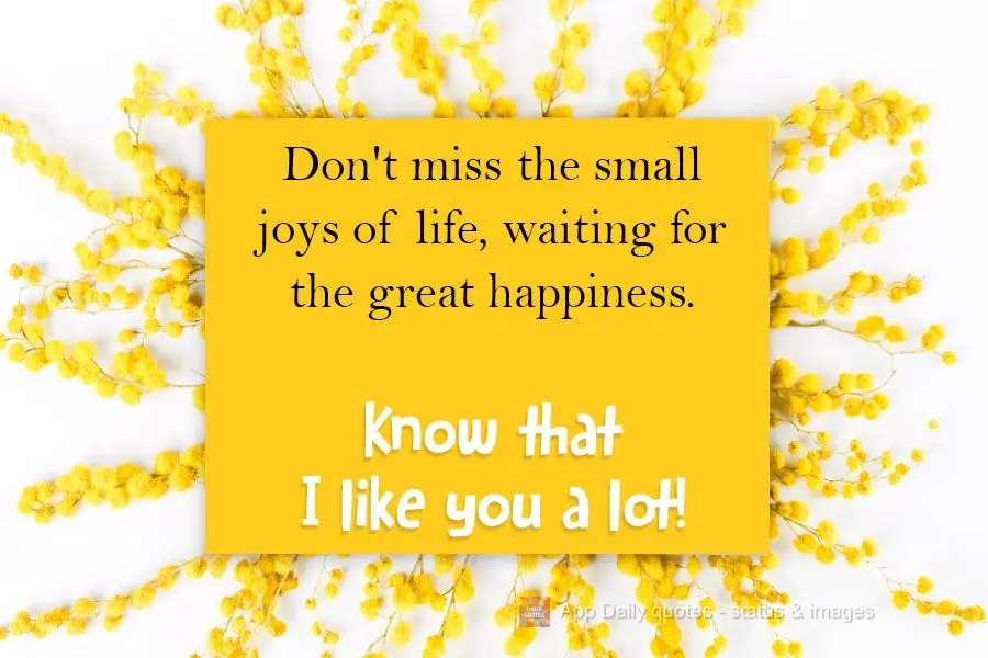 Don't miss out on the small joys of life waiting for that great happiness. Know that I like you a lot!