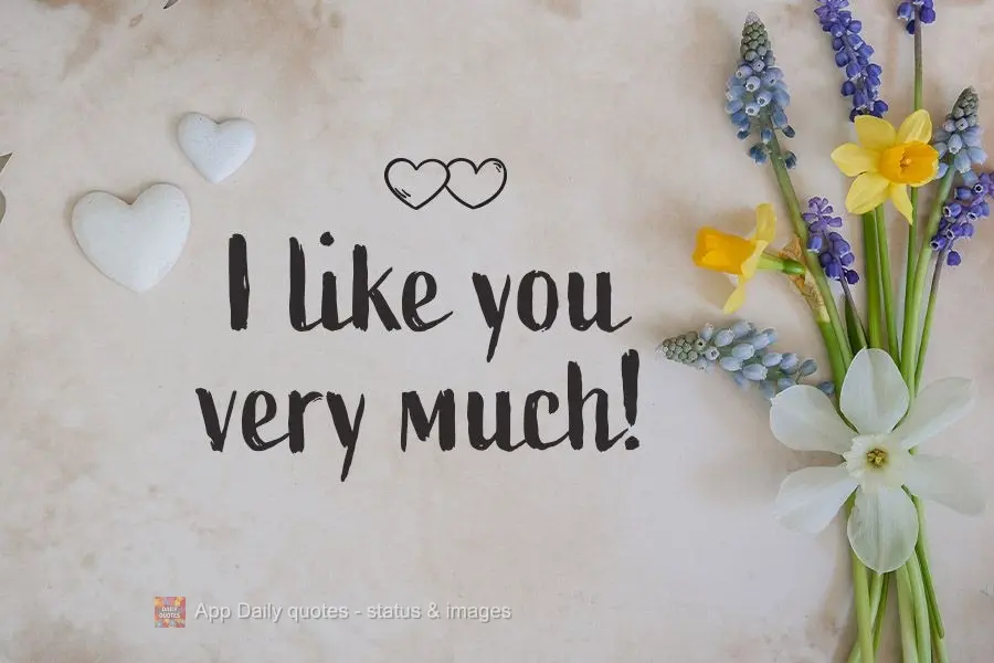 I like you very much!