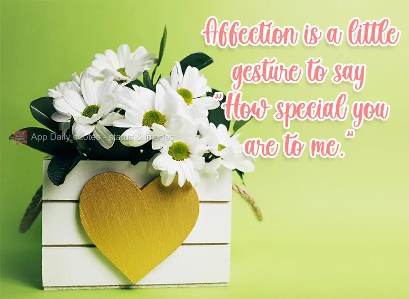 Affection is a little gesture to tell you, "Look how special you are to me."