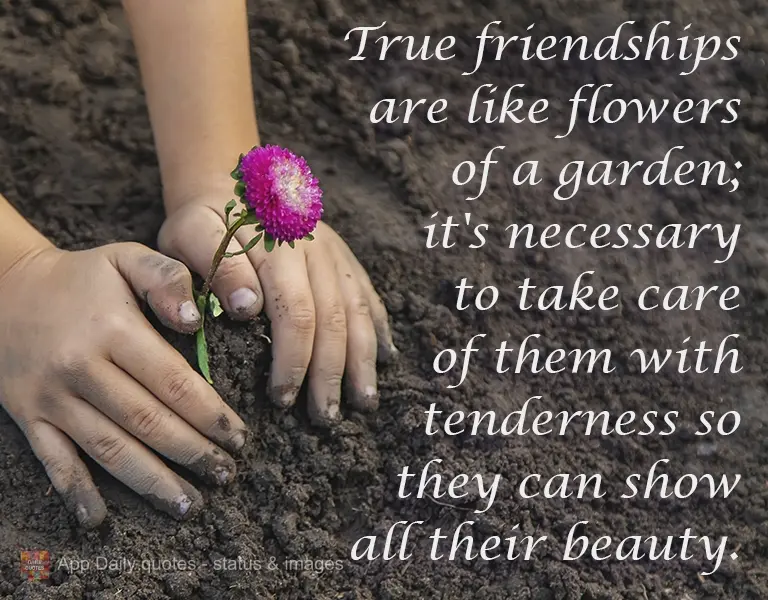 Amizade verdadeira é como as flores de um jardim; é preciso cuidar carinhosamente delas para que mostrem toda sua beleza.
