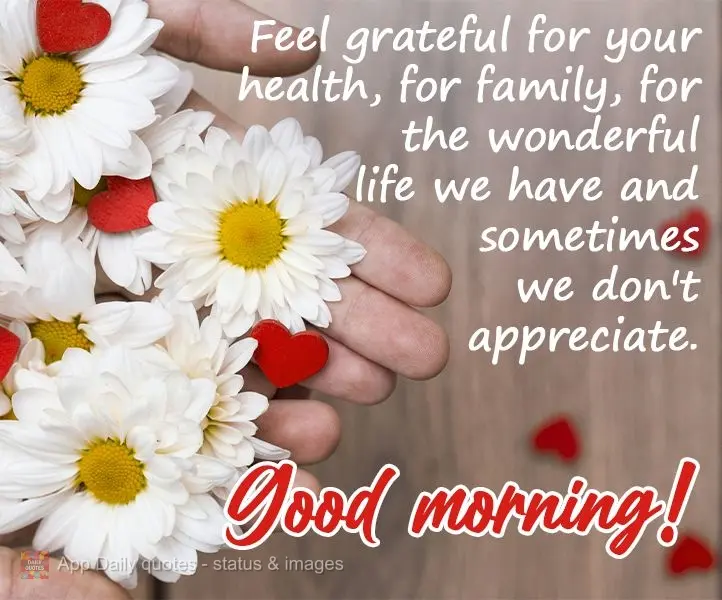 Sinta-se grato pela saúde, pela família, pela vida maravilhosa que temos e as vezes não damos valor.
 Bom dia!