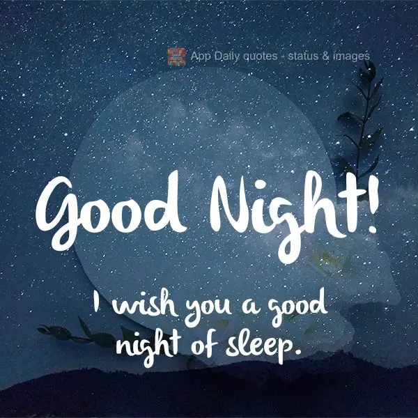 Boa Noite! Desejo para você uma boa noite de sono. 
