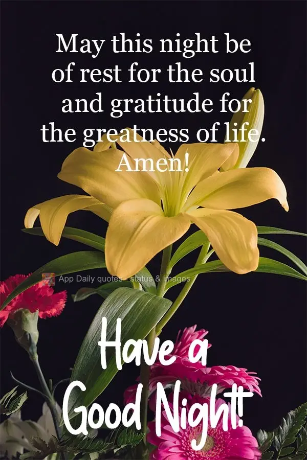 Que esta noite seja de descanso para alma e agradecimento pela grandeza da vida. Amém!  Tenha uma Boa Noite!