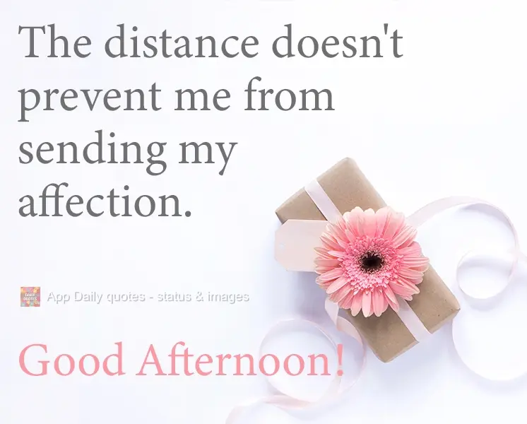 A distância não impede que eu envie meu carinho.  Boa Tarde!