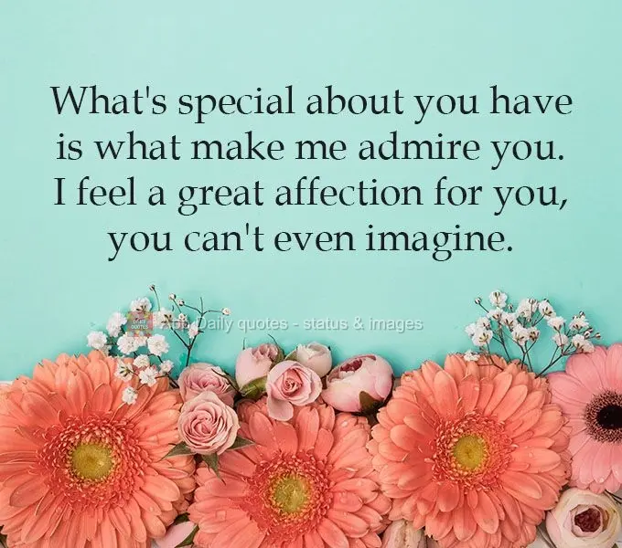 What's special about you is how you make me admire you. I feel a deep affection for you like you can't even imagine.