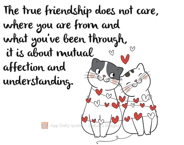 Para a verdadeira amizade não importa de onde você é e o que passou , trata-se de carinho e compreensão mútuos.
