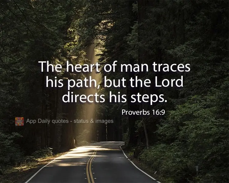 The heart of man sets his path, but the Lord directs his steps. Proverbs 16:9