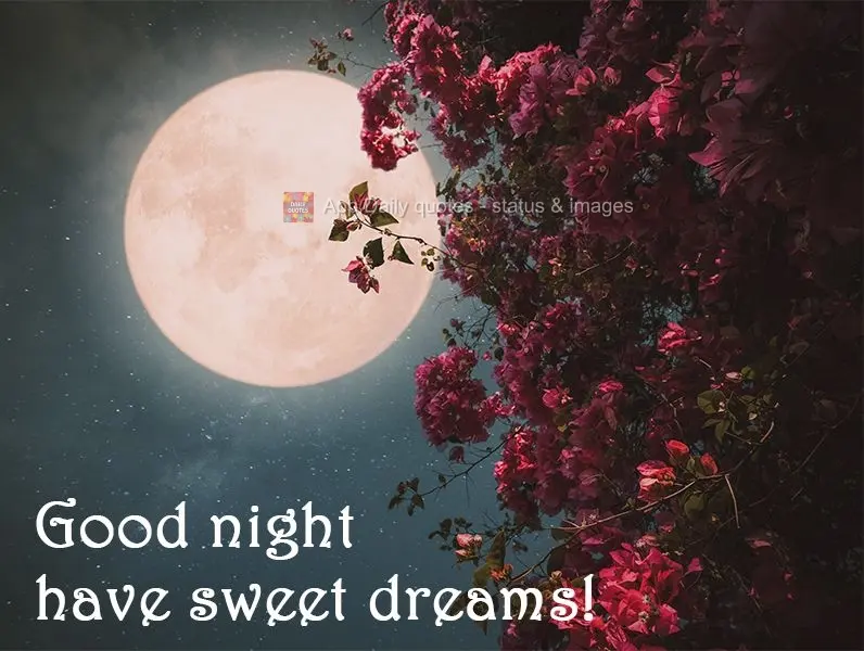 Boa noite tenha bons sonhos!
