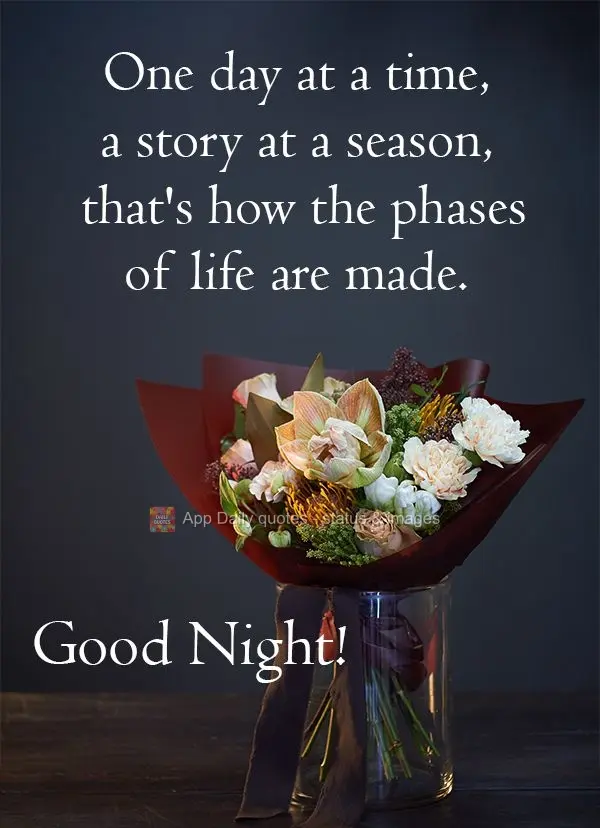 Um dia de cada vez, uma história em cada época, assim se faz as fases da vida. 
 Boa Noite! 
