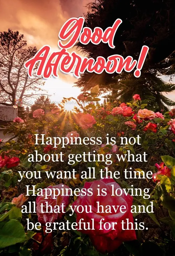 Felicidade não é conseguir o que você quer o tempo todo. Felicidade é amar o que você tem e ser grato por isso.
  Boa Tarde!