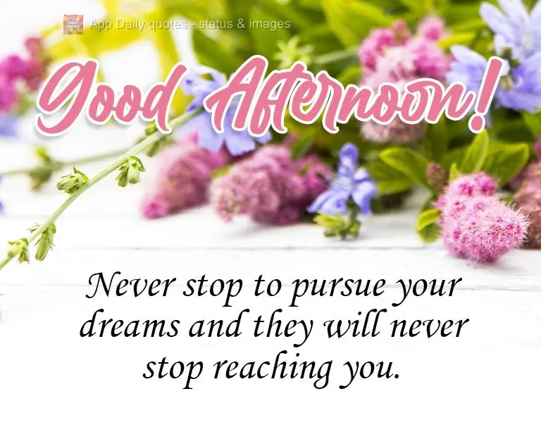 Nunca pare de perseguir seus sonhos e eles nunca vão parar de chegar até você.  Boa Tarde!