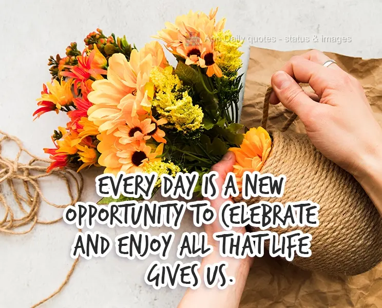 Cada dia é uma nova oportunidade para celebrarmos e usufruirmos de tudo o que a vida nos dá.
