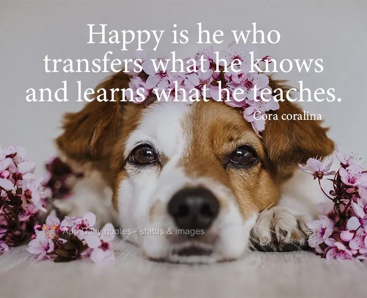 Happy is he who transfers what he knows and learns what he teaches. Cora Coralina