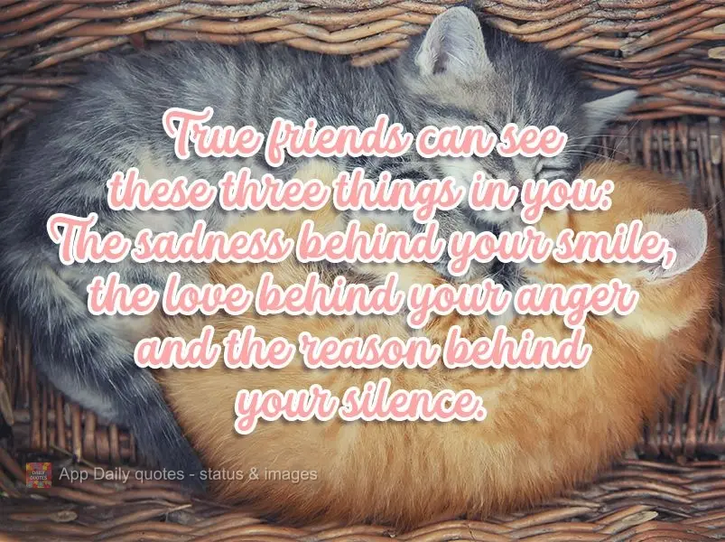 True friends can see these three things in you: The sadness behind your smile, the love behind your anger and the reason behind your silence.
