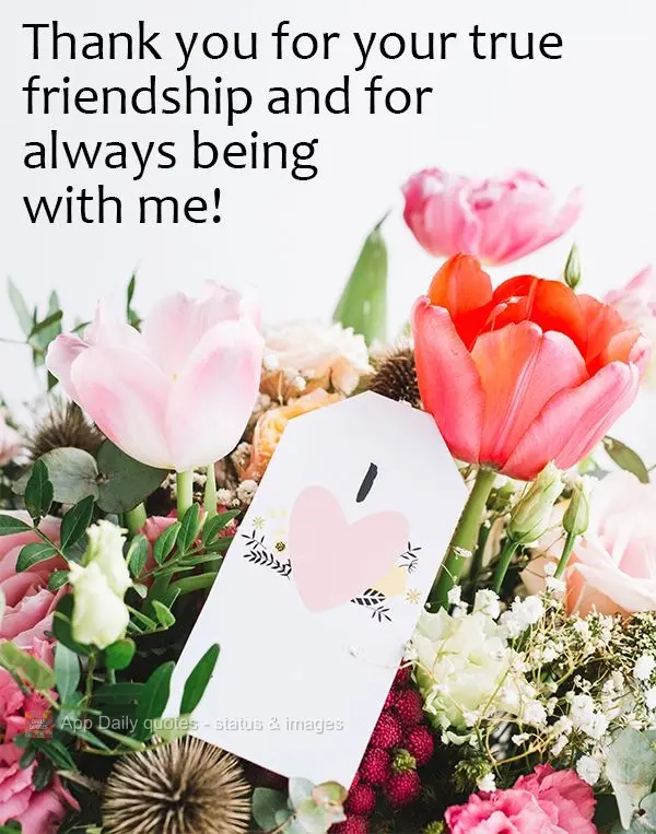 Thank you for your true friendship and for always being with me!