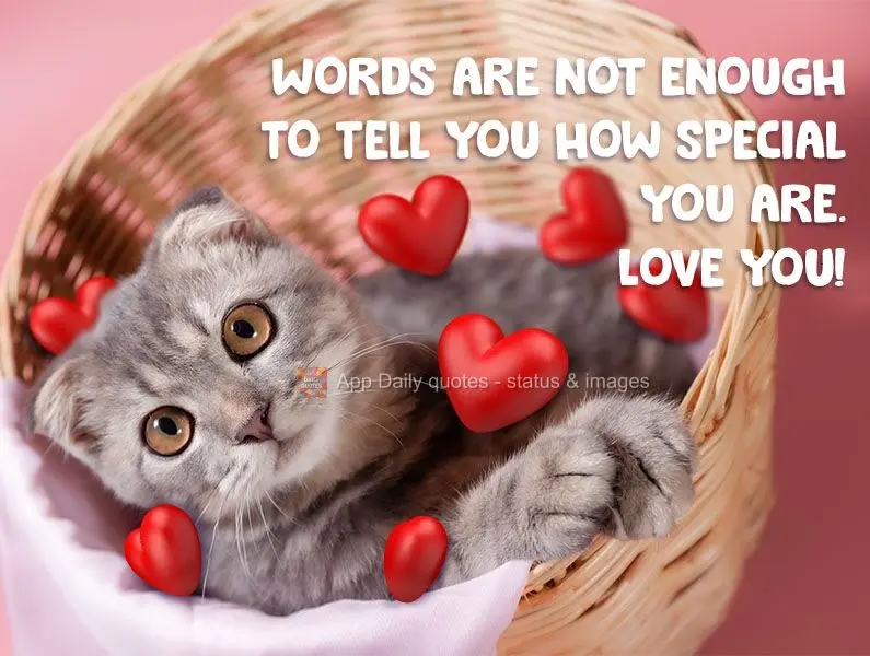 Words are not enough to tell you how special you are. I adore you!
