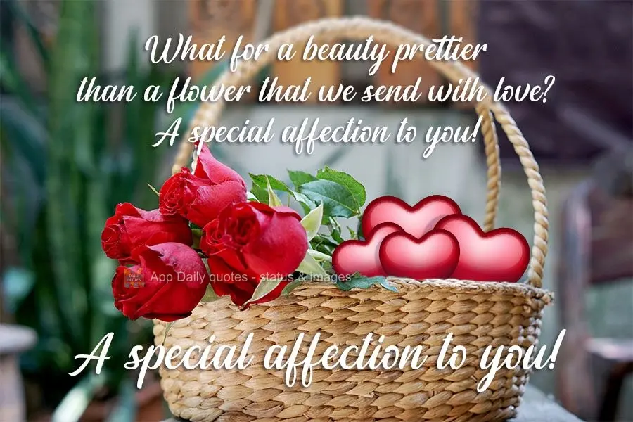 For what beauty prettier than a flower that we send with love? A special token of affection for you!