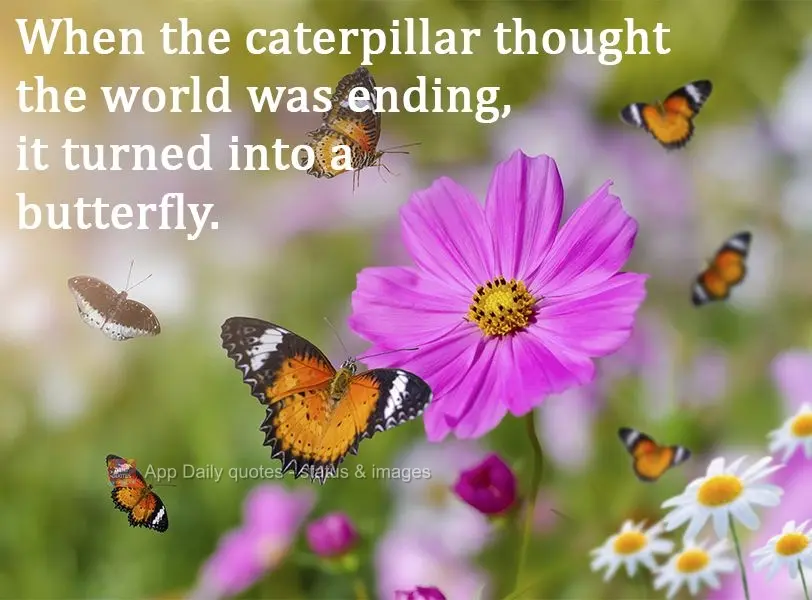 Quando a lagarta pensou que o mundo estava acabando, ela se transformou em uma borboleta.
