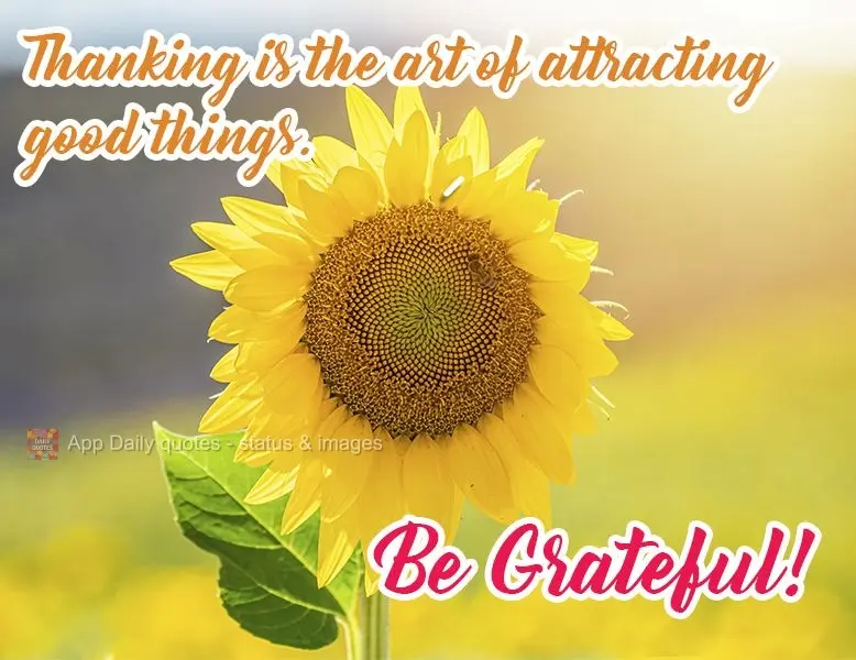 Agradecer é a arte de atrair coisas boas.
  Seja Grato!