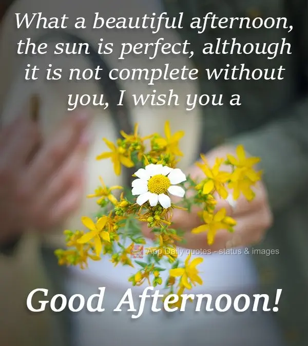 What a beautiful afternoon. The sun is perfect, although it is not complete without you. I wish you a Good Afternoon!