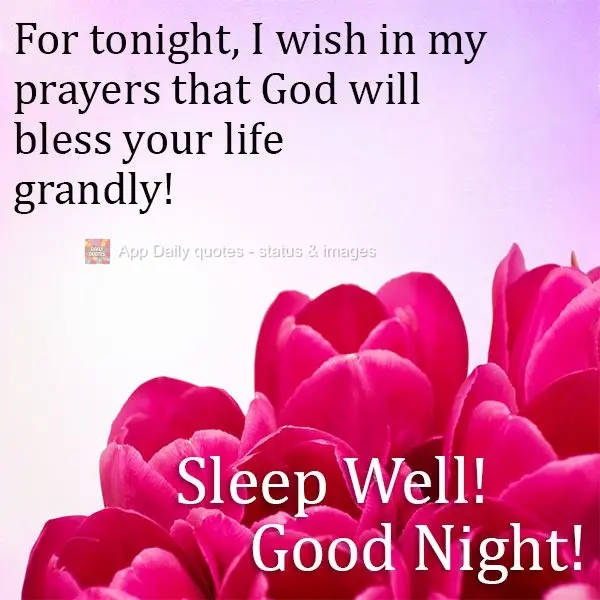 Pra essa noite, desejo em minhas orações que Deus venha abençoar sua vida grandiosamente. 
 Durma bem Boa noite! 