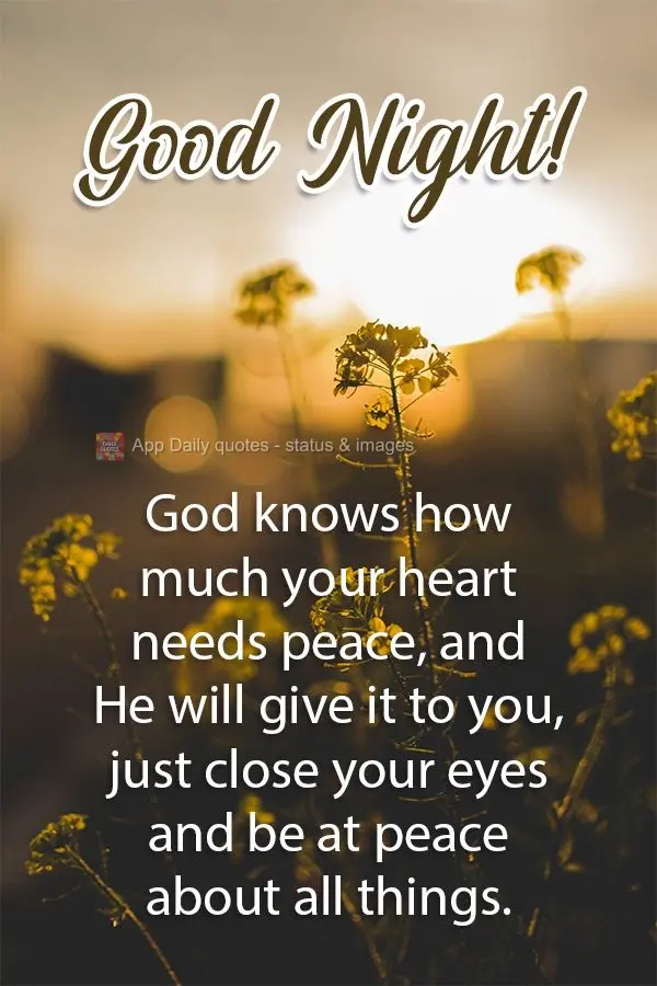 Deus sabe o quanto seu coração precisa de paz, e ele lhe dará isso, basta você fechar seus olhos e ficar em paz sobre todas as coisas. 
 Boa Noite!...