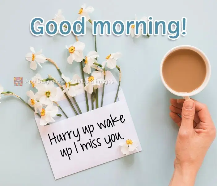 Apresse-se, acorde! Porque sinto sua falta.  Bom dia!