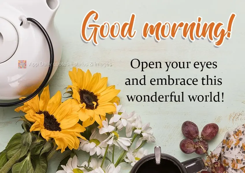 Open your eyes and embrace this wonderful world! Good morning!
