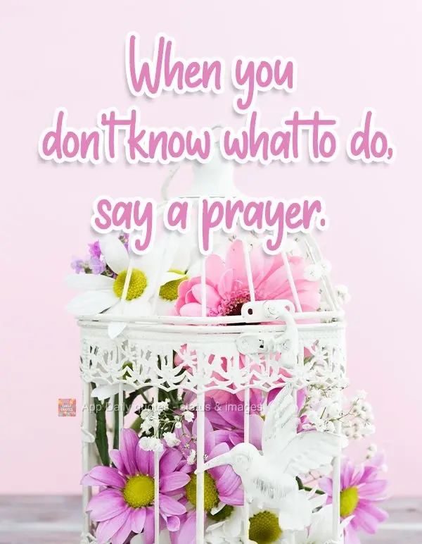 Quando você não souber o que fazer, faça uma prece.
