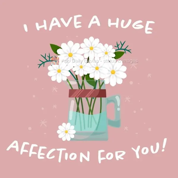 Tenho por você um enorme carinho!
