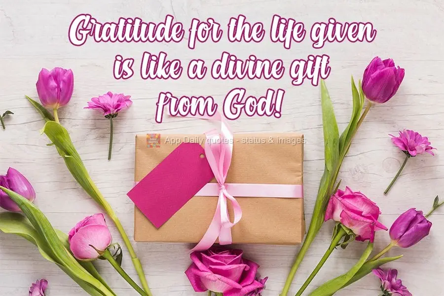 Gratidão pela vida dada é como um presente divino de Deus!
