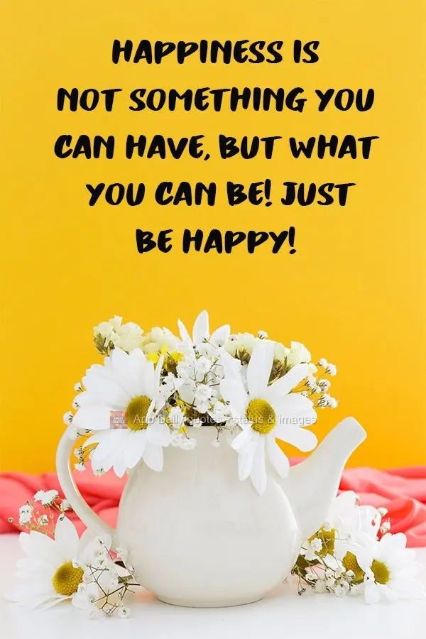Felicidade não é algo que se possa ter, mas sim o que você pode ser! Apenas seja feliz!
