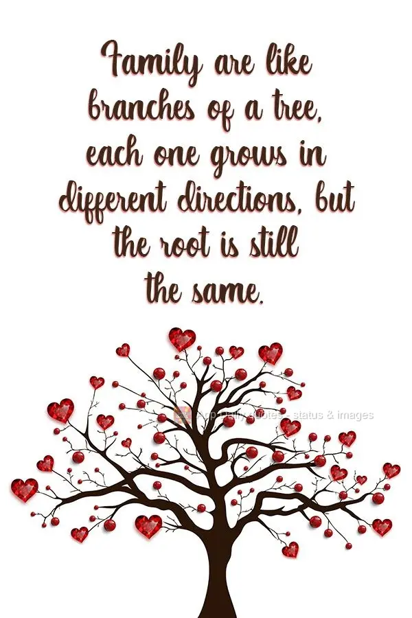 Families are like branches of a tree, each one grows in different directions, but they all share the same roots.