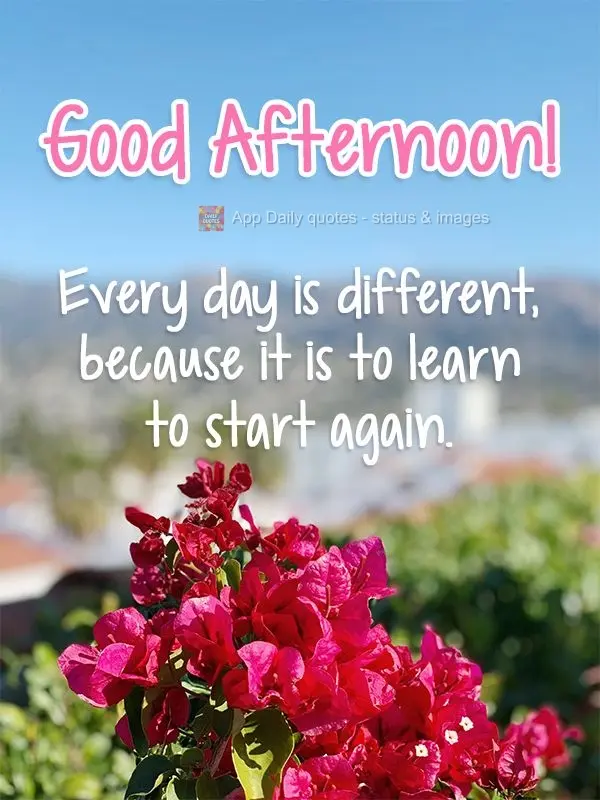 Todos os dias são diferentes, porque são para aprender a recomeçar.  Boa Tarde!