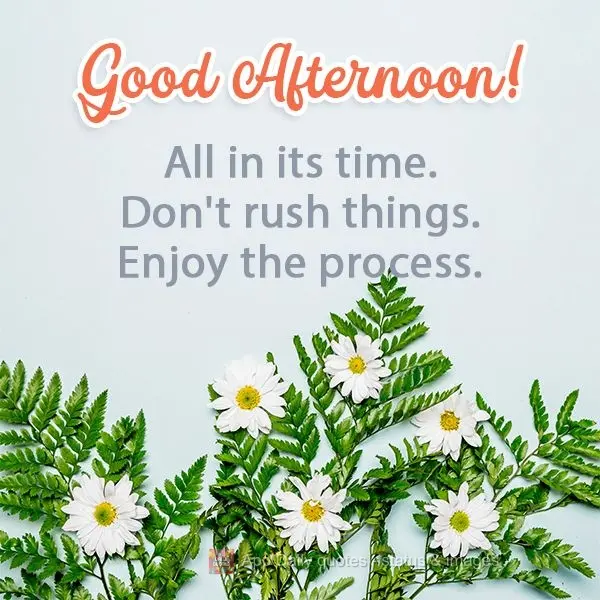 Tudo tem seu tempo. Não apresse as coisas. Aprecie o processo.  Boa Tarde!