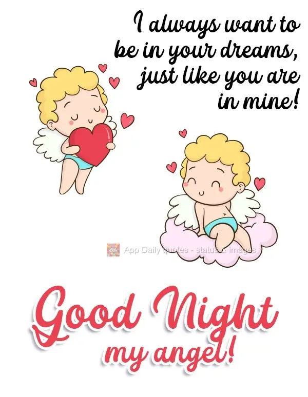 Eu quero estar sempre em seus sonhos, assim como você está sempre nos meus!  Boa Noite meu anjo!