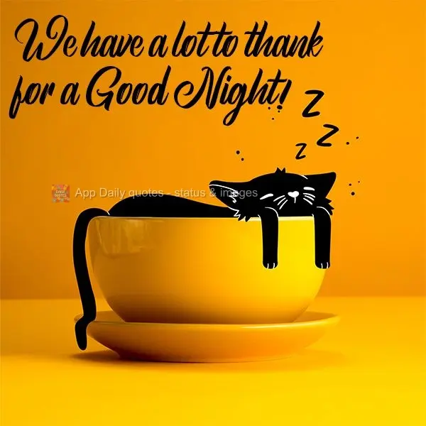 We have a lot to thank for a Good Night!