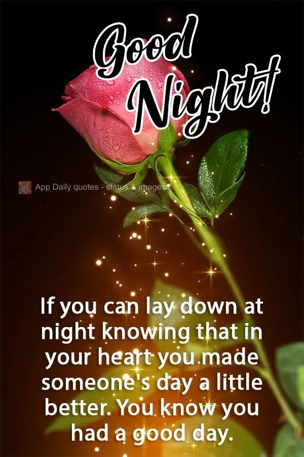 Se você pode se deitar a noite sabendo, em seu coração, que melhorou um pouco o dia de alguém, você sabe que teve um dia bom! Boa Noite!