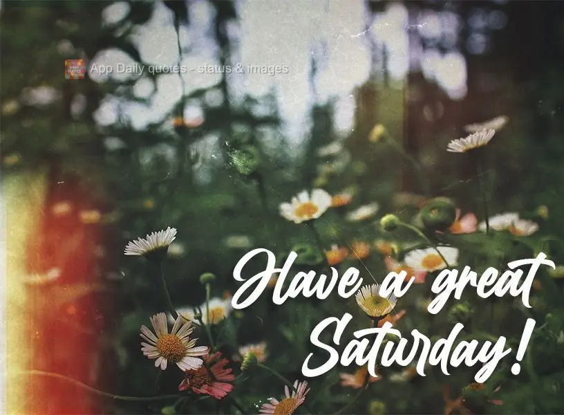 Tenha um ótimo Sábado!
