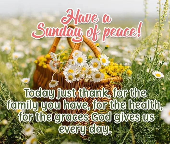 Hoje apenas agradeça pela família que tem, pela saúde e pelas graças que Deus nos dá todos os dias. 
 Tenha um Domingo de paz!