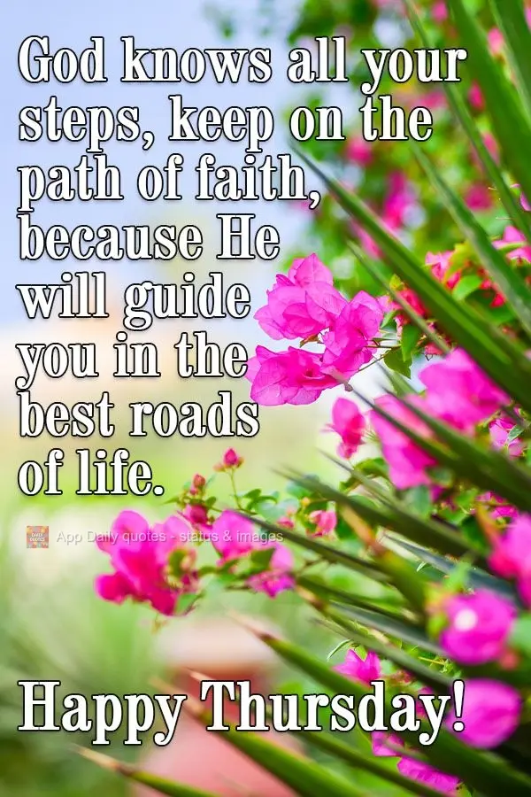 God knows all your steps. Stay on the path of faith, because He will guide you down the best roads of life. Happy Thursday!