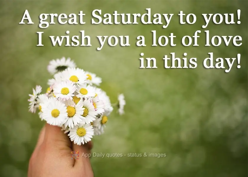 Um ótimo Sábado para você! Te desejo muito amor neste dia!
