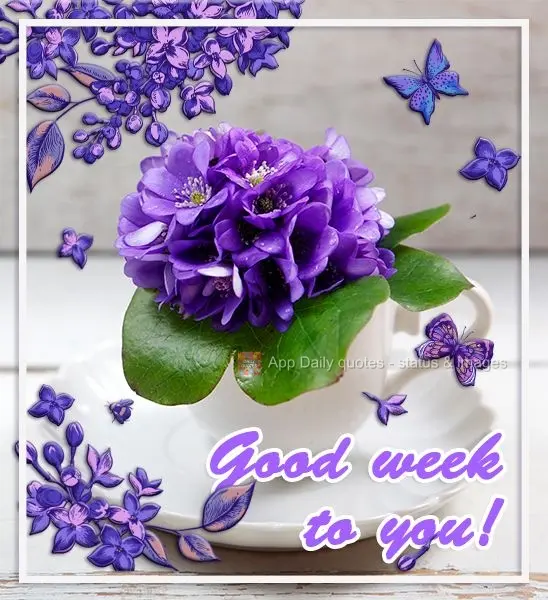 Boa semana para você!
