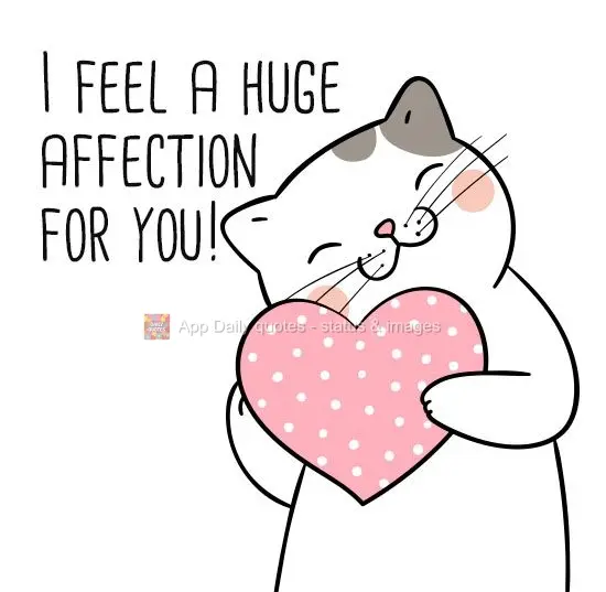 Sinto um carinho enorme por você!
