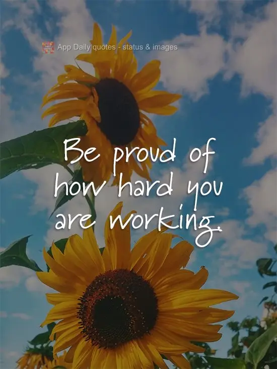 Tenha orgulho de quão duro você está trabalhando.
