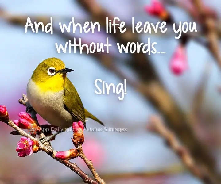 E quando a vida te deixar sem palavras...Cante!
