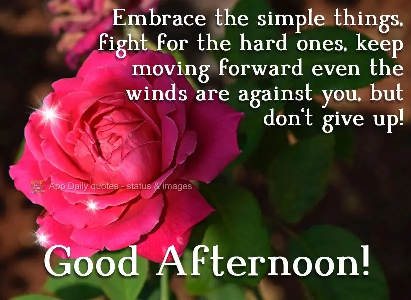 Abrace as coisas simples, lute pelas difíceis, continue em frente mesmo que os ventos estejam contra, mas não desista! 
 Boa Tarde!