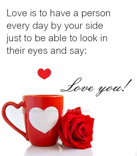 Love is to have a person by your side every day just to be able to look in their eyes and say: I love you!