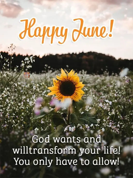 Deus quer e vai transformar sua vida! É só você permitir!
 Feliz Junho!