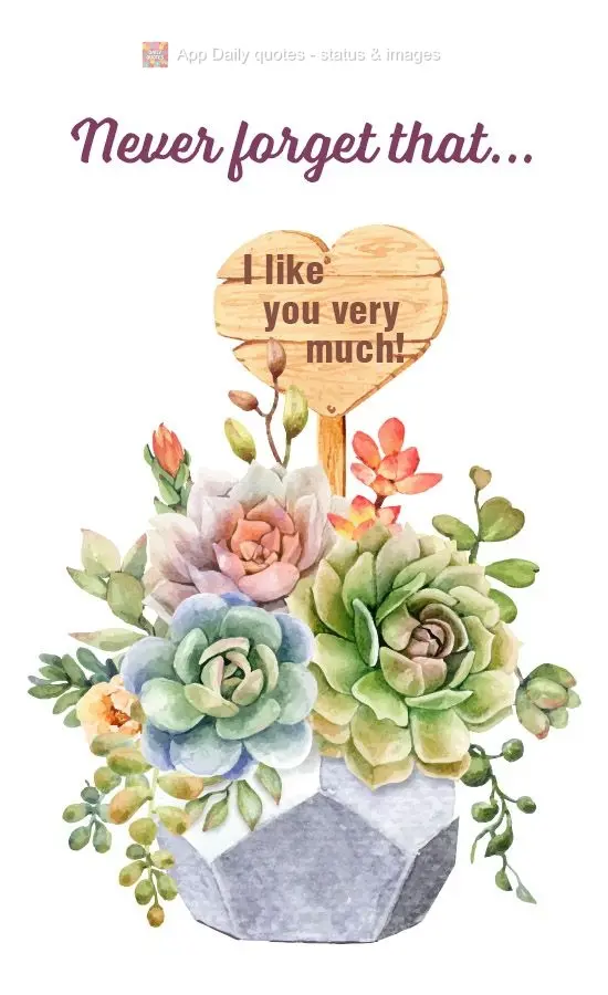 Never forget that...I like you very much!